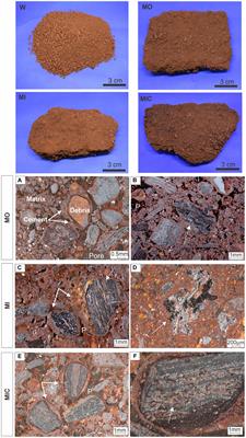 Enhancing iron biogeochemical cycling for canga ecosystem restoration: insights from microbial stimuli